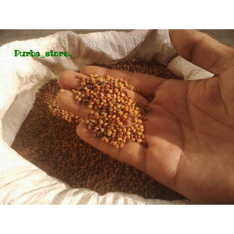 

Calopogonium mucunoides-biji (CM)/kacang ASU 100%aslibagus 1kg