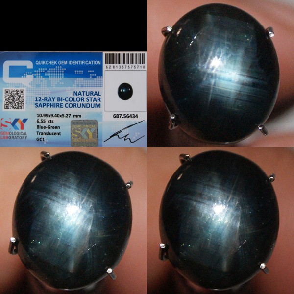 *COLLECTOR* Natural Bicolor Sapphire 12rays Star 6.55ct + Memo (573)