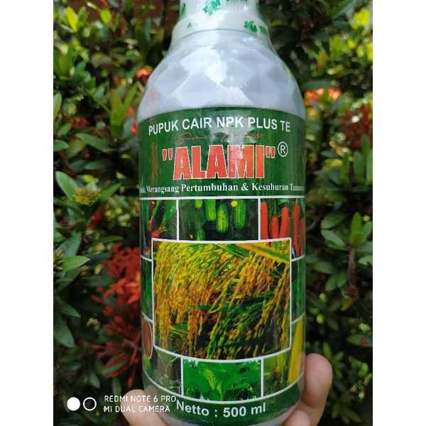 ALAMI PADI 500 ml Pupuk Cair NPK Plus TE untuk Pertumbuhan