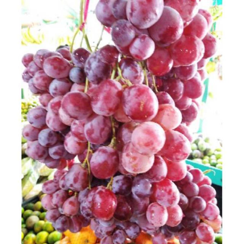 Anggur Red 1KG Anggur Segar Buah Segar Bandung