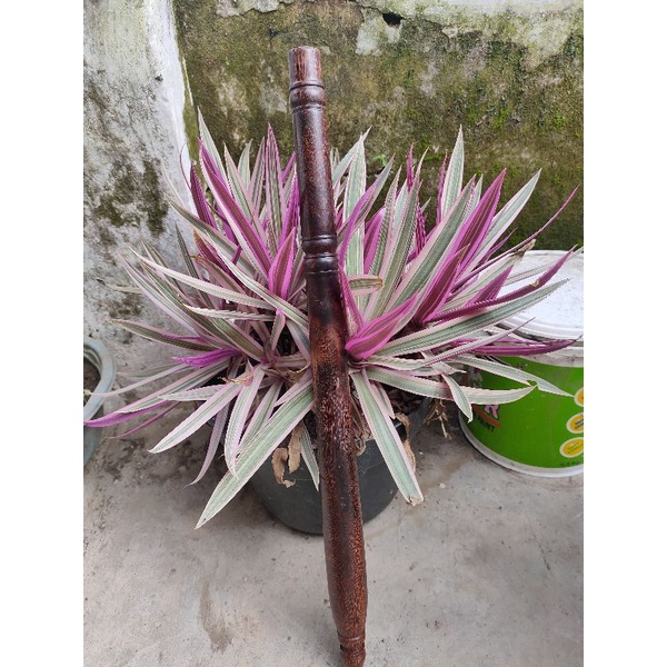 GANGGANG / LENDEAN TOMBAK