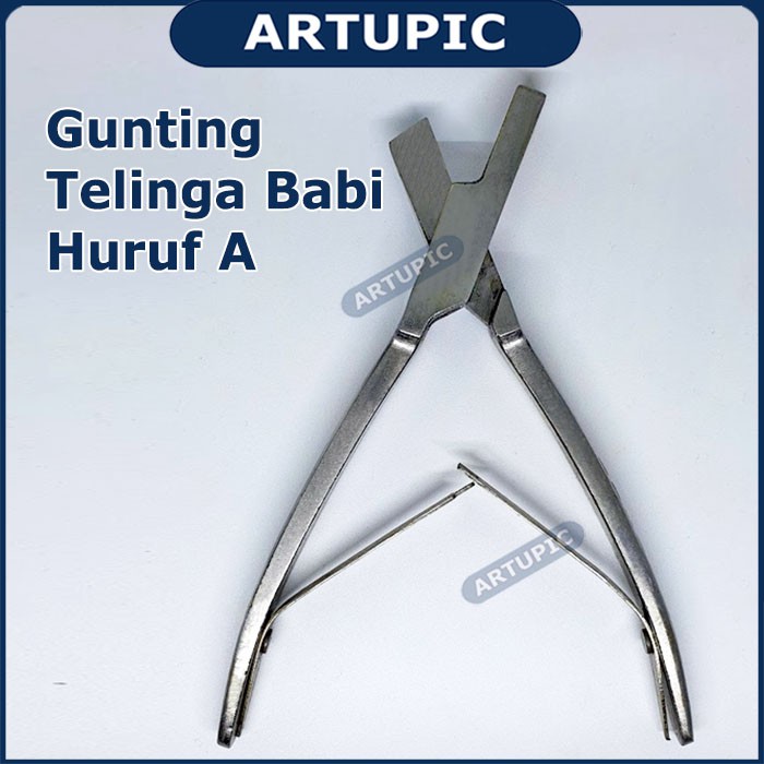 Gunting Telinga Babi Huruf A Alat Potong Kuping Babi Pig Ear Scissors Artupic