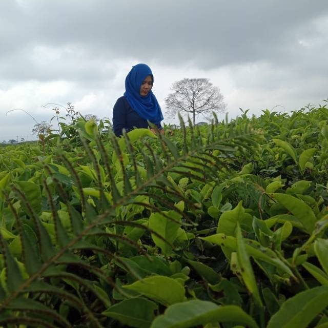 rizkadinihumairoh