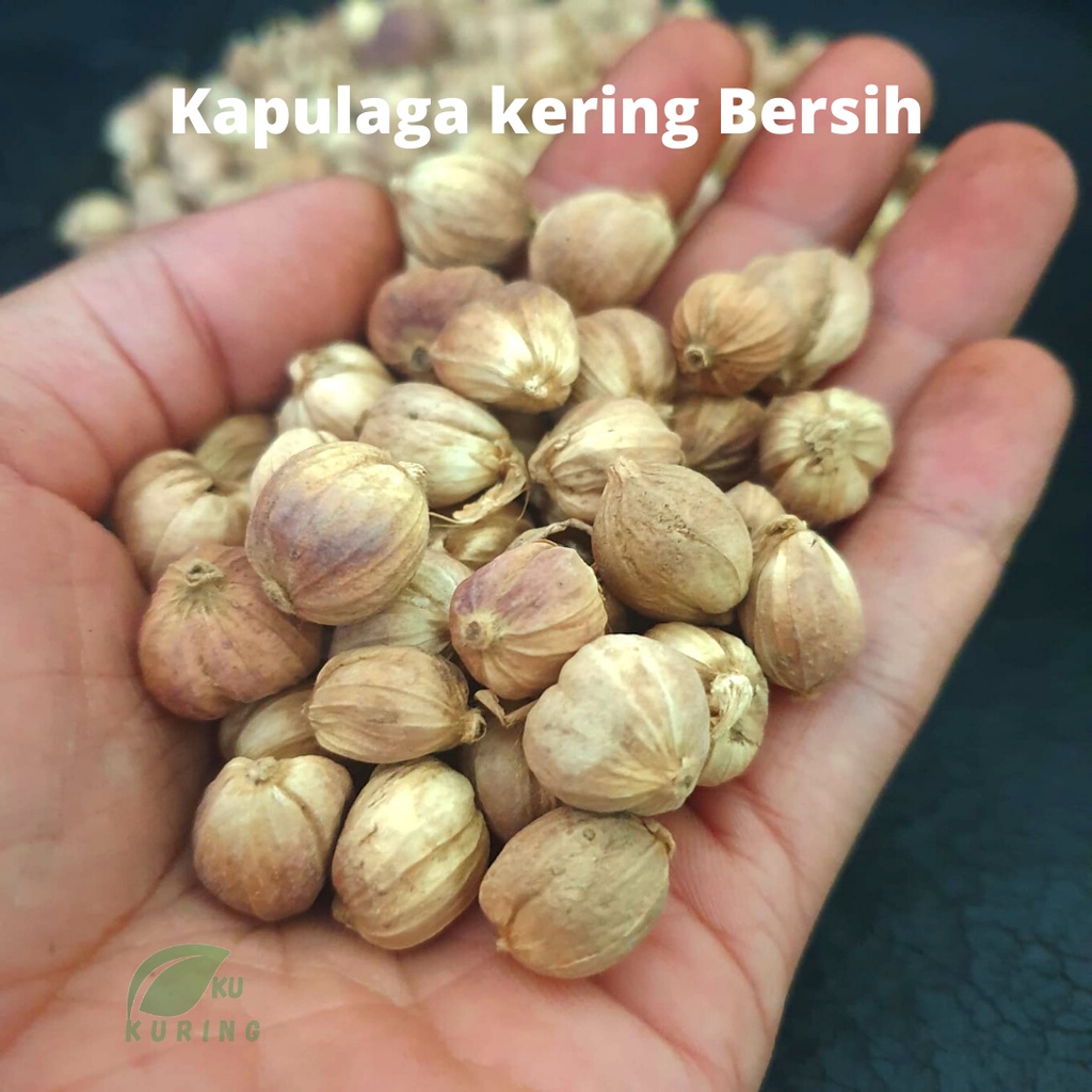 

KUKURING 1kg Kapulaga Kering Organik Kualitas bagus