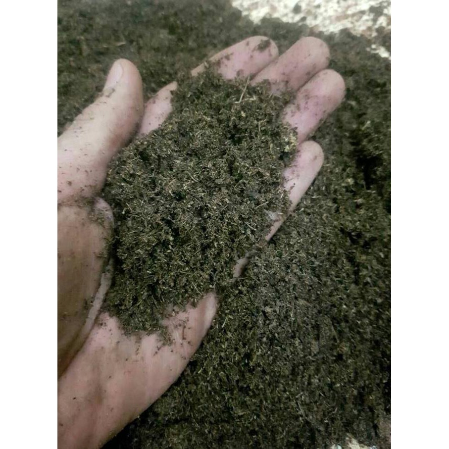 

Ready Stok - Sphagnum Peatmoss (Raw)