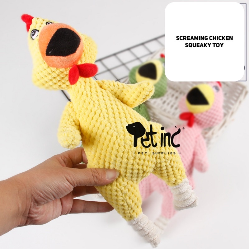 Screaming chicken squeaky toy