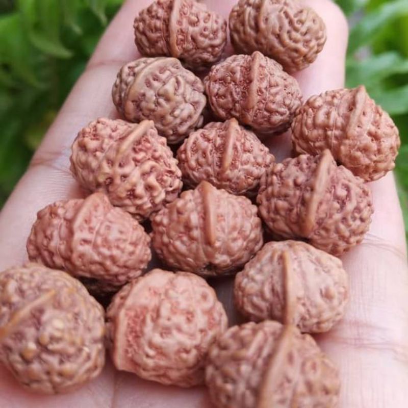 Liontin Bandul Ganesha Original Jenitri