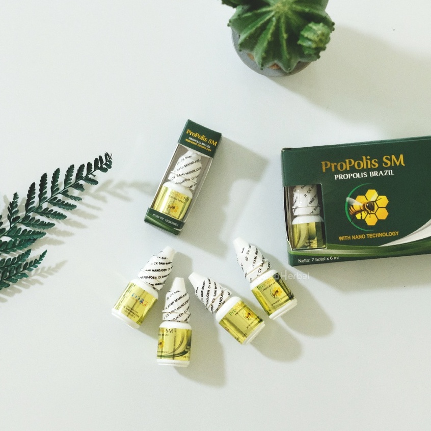Propolis SM Obat Radang Gusi Bengkak Sakit Gigi Ngilu Keropos Berlubang Bolong Anak dan Dewasa Herbal Isi 6 ML Aman Alami BPOM dan Halal MUI