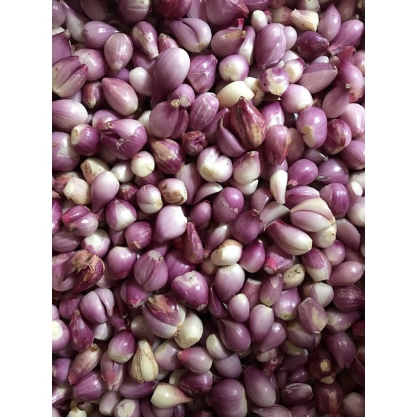 

Bawang Merah kupas