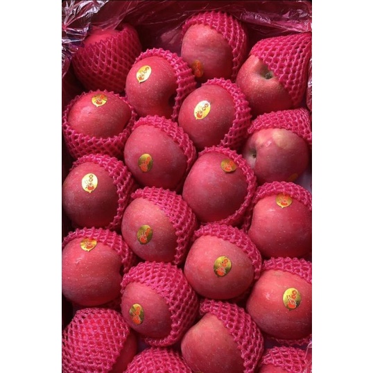 

BUAH APEL TERMURAH DAN BERKUALITAS 1kg