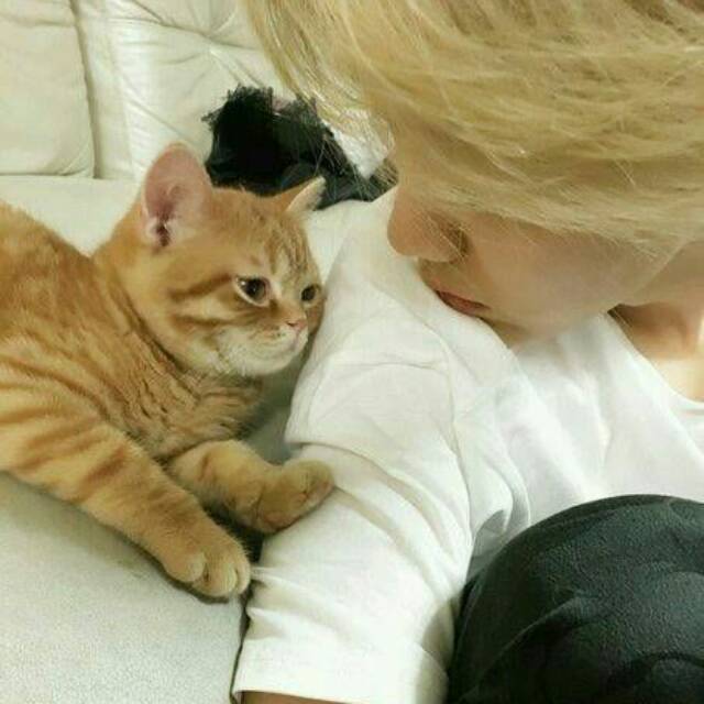 atifaalmirasuhanamuchtar