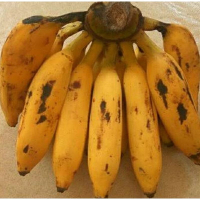 PISANG ULI/1 SISIR