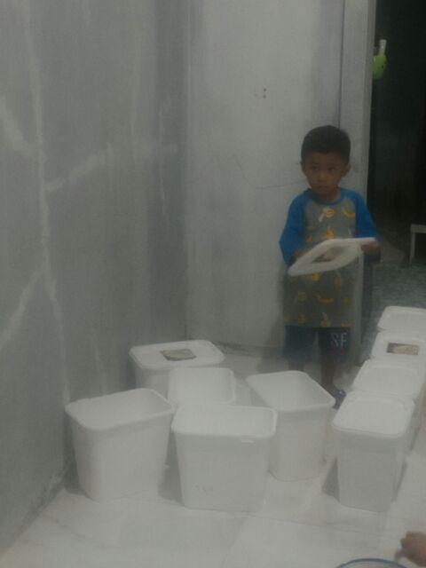 Box Ice Cream 8 Liter