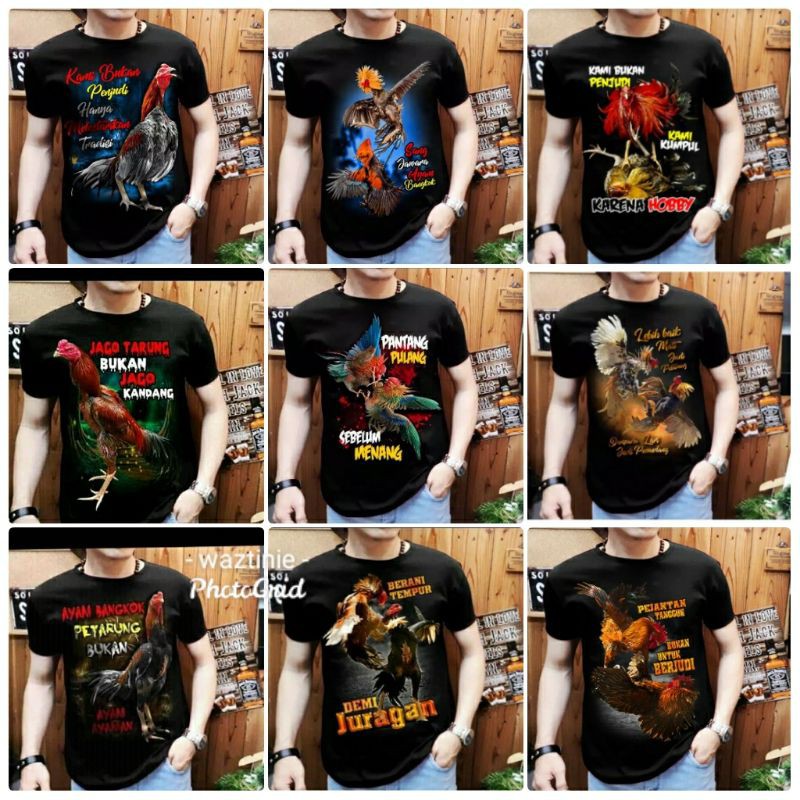 KAOS AYAM , Kaos ayam bangkok.. ayam jago. Ayam tarung