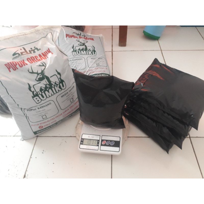 Sekam bakar media tanam pupuk kandang pupuk organik jadi satu siap pakai