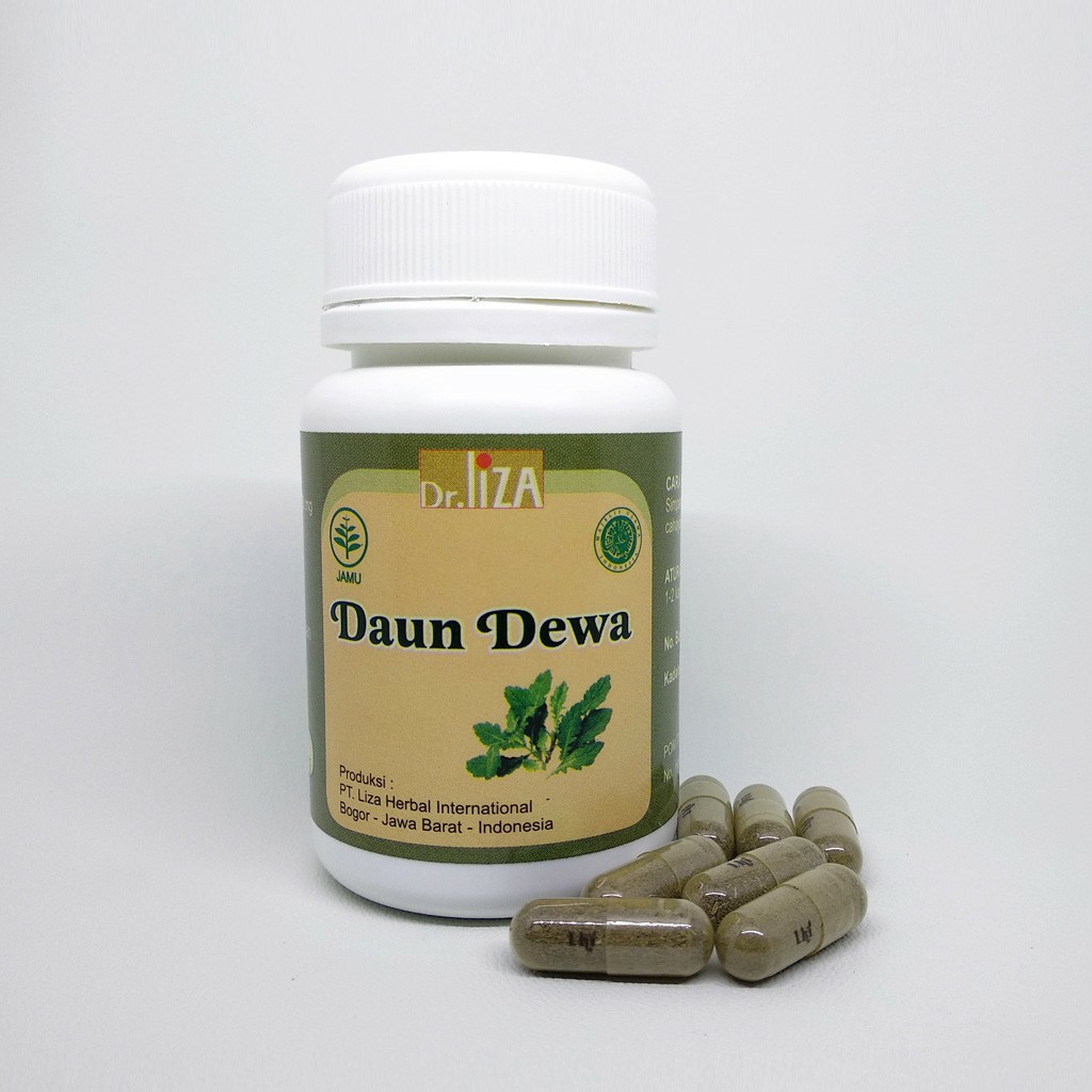 

Daun Dewa Liza Herbal untuk Kanker dan TBC