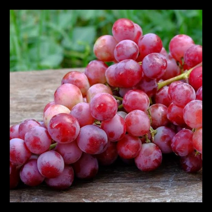 

Buah Anggur Merah - 500 Gram