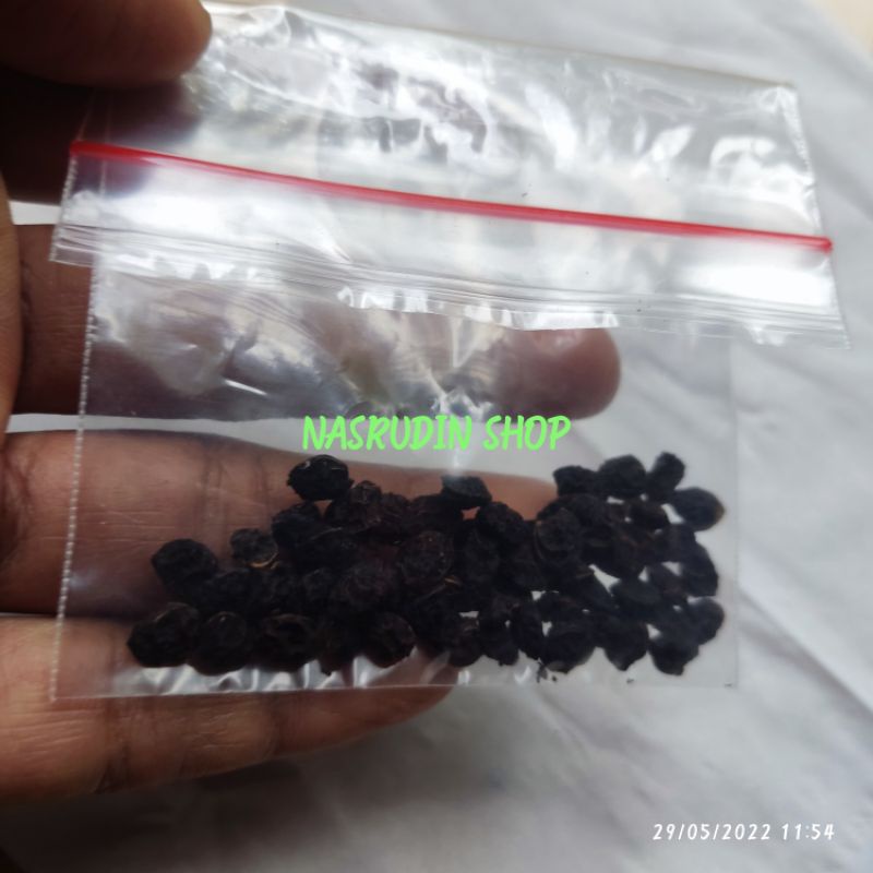 

[Fresh] BIBIT BIJI BUAH HUNI 100 BIJI SIAP SEMAI BIBIT BUAH HUNI BIBIT HUNI BIBIT WUNI BIBIT BONI