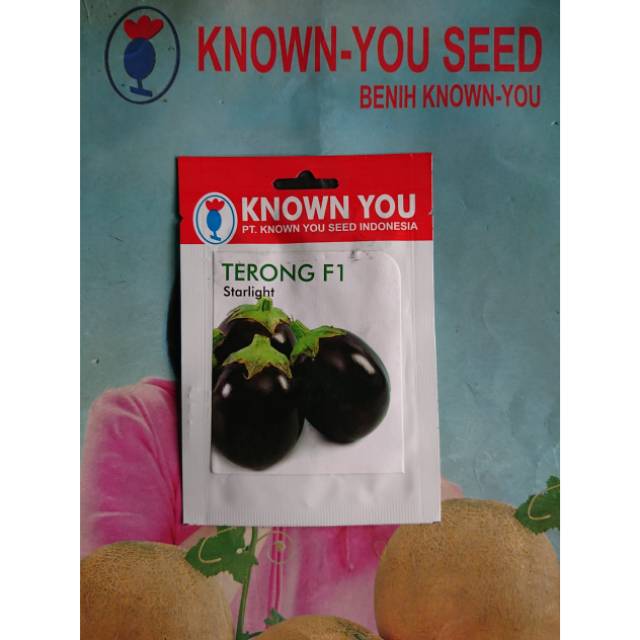 Benih Biji Terung Hitam Hibrida STARLIGHT F1 Sp