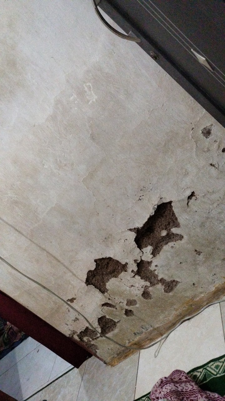 Black 9109 Diton Premium Hitam 9109 Cat Semprot Aerosol Paint Motor Glossy Kilap Pilox 400cc 400 Cc