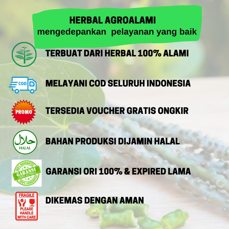 kapsul Jamu Brotowali obat gatal kulit eksim alergi biduran herbal daun jamu suplemen kesehatan isi 50 kapsul