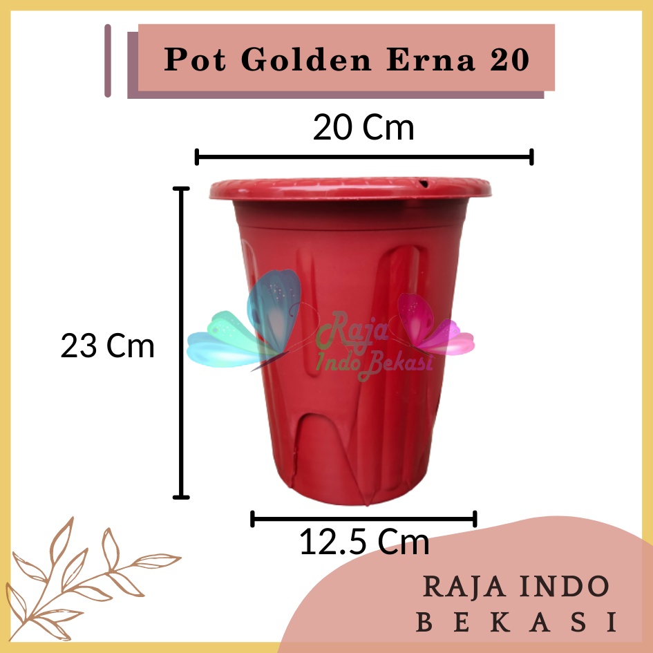 Pot Golden Erna 20 Merah Bata Coklat Terracota Terracotta Garden Of Love Mirip Pot Yogap 18 19 25 Murah  Putih Coklat Merah Bata Bening Transparan Pot Yogap 18 19 25 Pot Yogap Murah Pot Bunga Tinggi Pirus Tegak Bagus Tebal