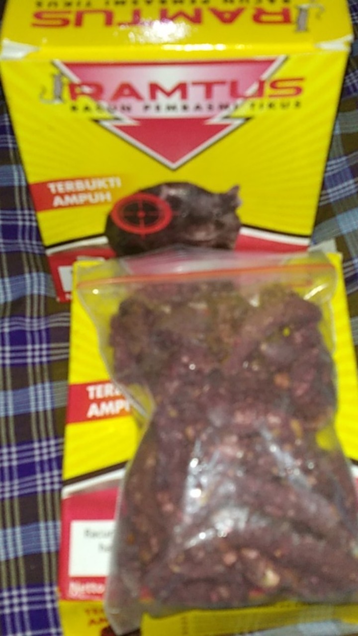 Ramtus Racun Tikus Ampuh Mati Kering Tidak Bau Pembasmi Curut Wirog Mencit Dirumah Di Mobil 2 Pack