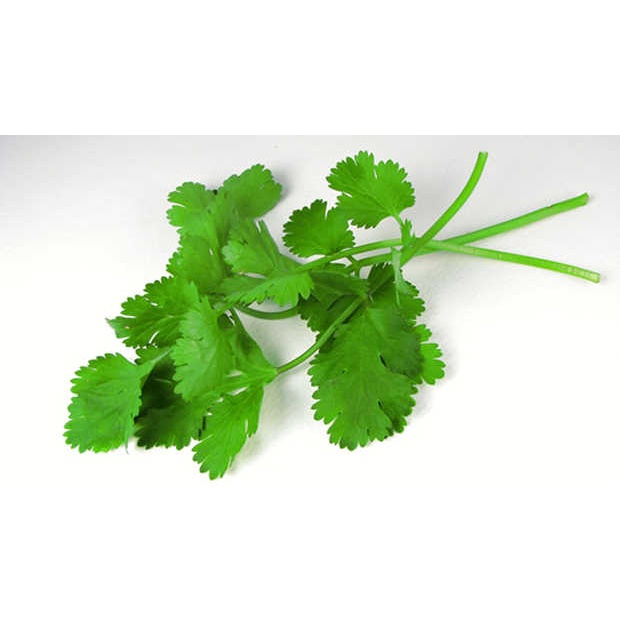 

DAUN KETUMBAR - PASAR KEMIRI