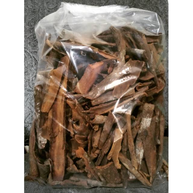 

Kulit Kayu Kina