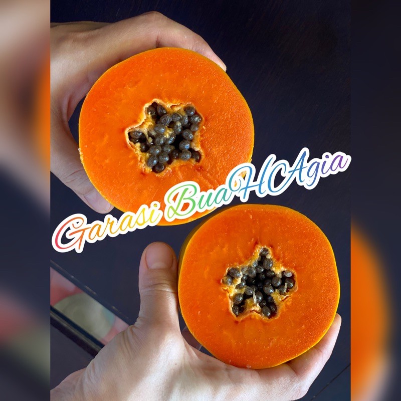 

paya California /pepaya /papaya min.berat 1.3kg