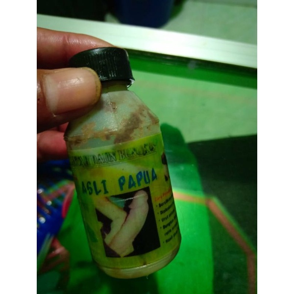 Minyak Daun Bungkus Tiga Jari Asli PAPUA
