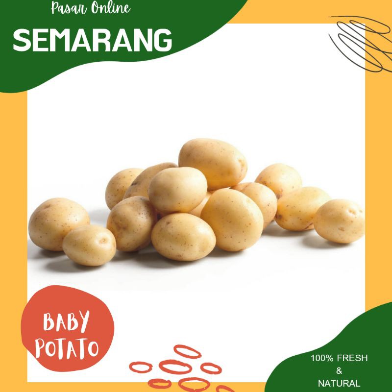 

Sayur Sayuran Segar dan Fresh / Baby Potato / Kentang / Kenthang Kecil /Cilik/Belanja Murah Semarang