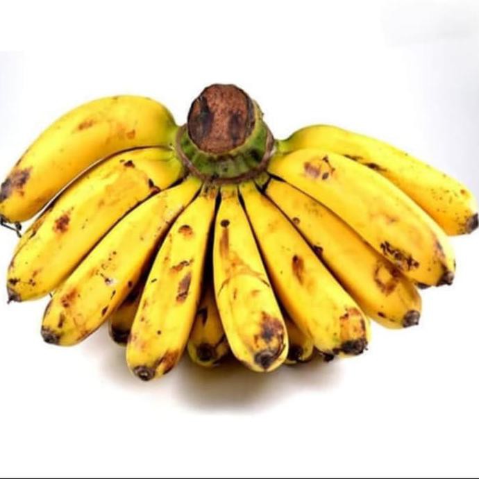Y@I Bibit Pohon Pisang Barangan / Buah Pisang Barangan