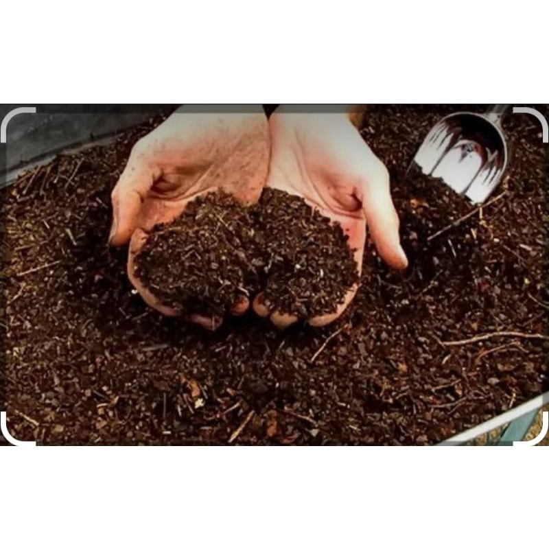 Media Tanam Pupuk Kompos Organik 1kg