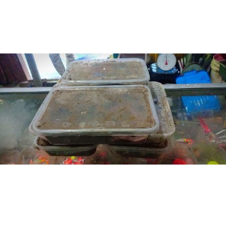 ★Ready Stok✿➮ BJQ umpan alam cacing nipah 40 ➮Kirim Langsung