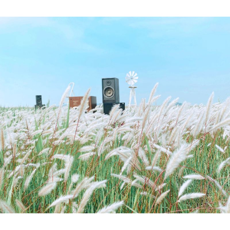 Attacca Carat Version Cover Joshua Unsealed