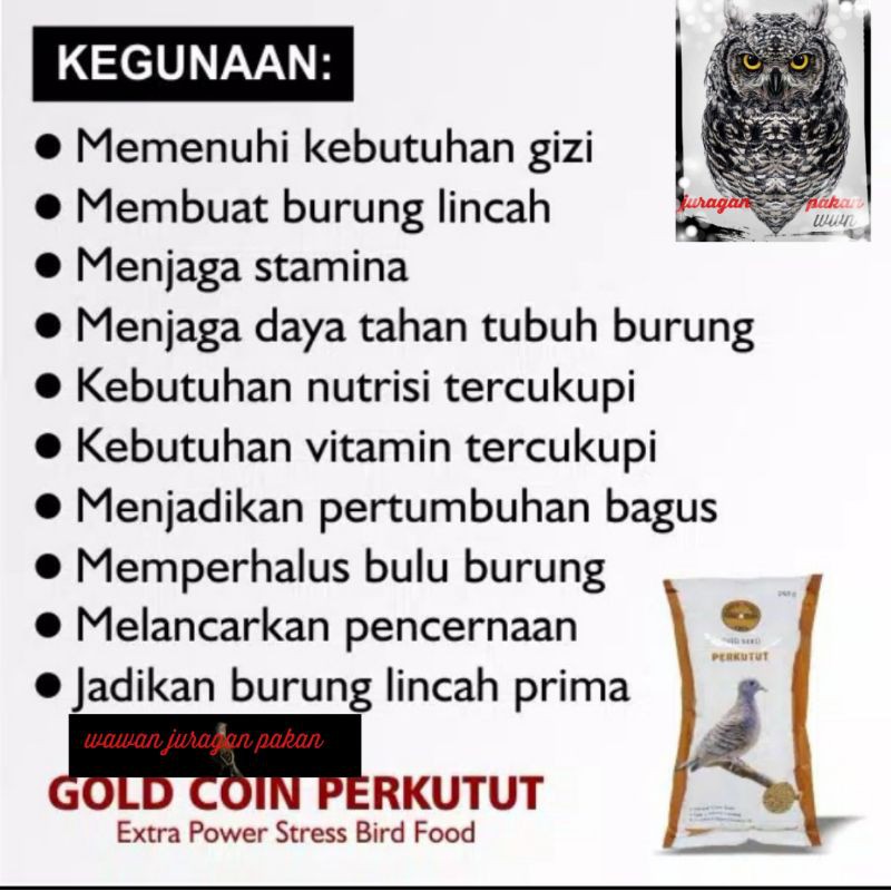 pakan perkutut,gold coin perkutut