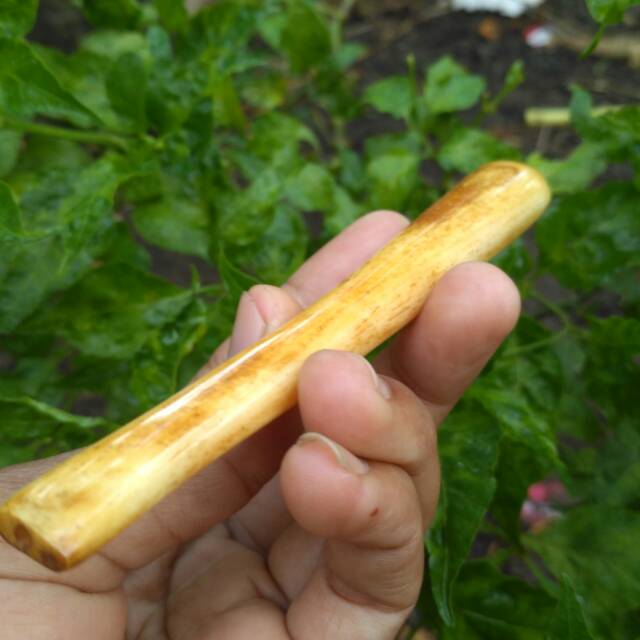 ONCE TULANG SAPI WARNA KUNING GADING ONCE