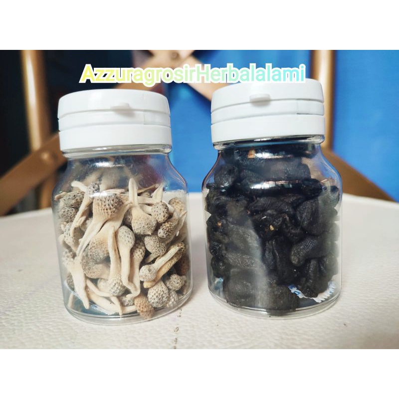 100 Biji Mpot Putih dan Hitam Zuuperr Mpot biang bikin Kesed dan Rapet kembali