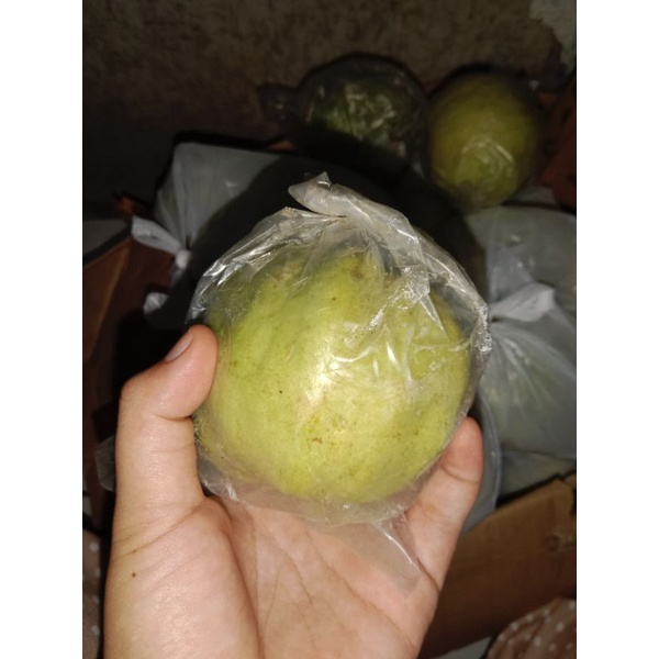 

Jambu Kristal