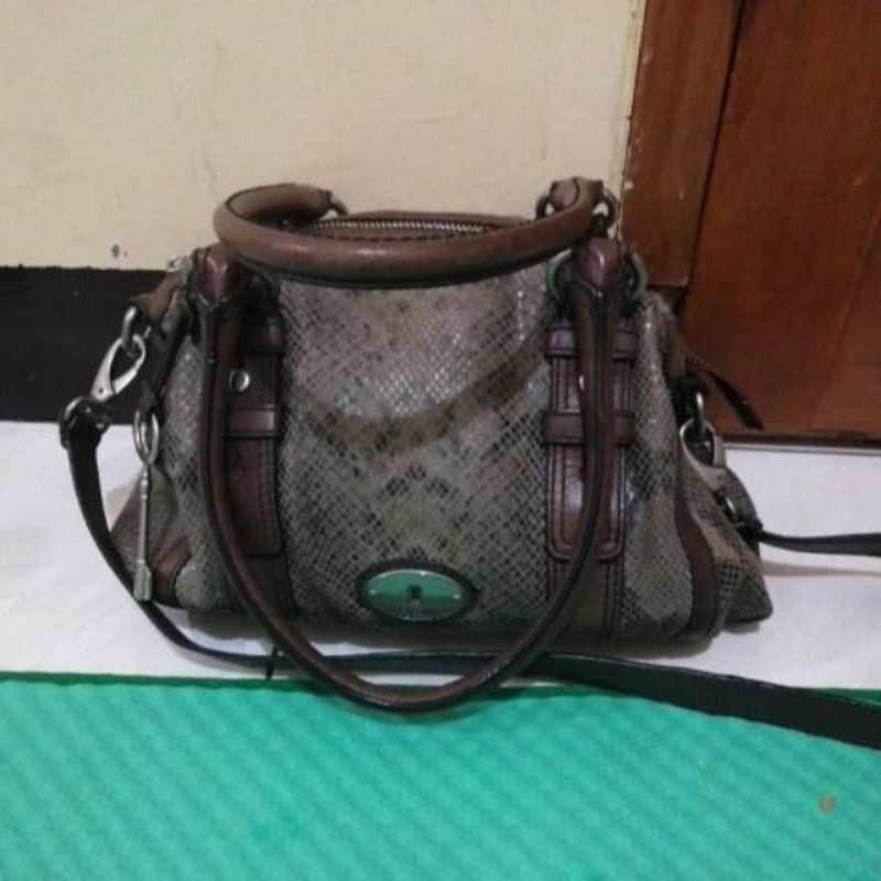 tas fossil maddox snake phyton