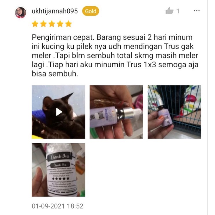 Obat Flu Kucing Batuk Demam Pilek Flucat Doxy Cat Coldy Cat Flu Cat Flu Kucing Ampuh