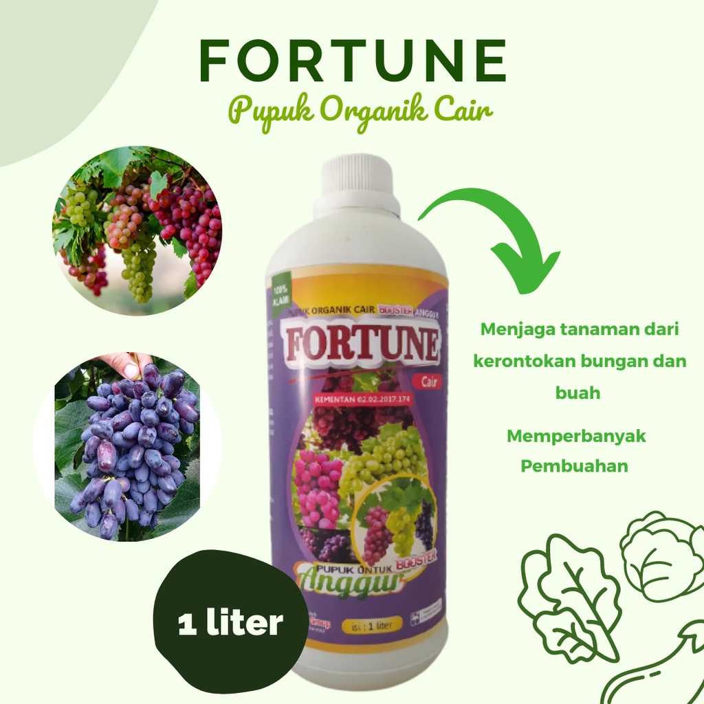 Pupuk Fortune Cair Pupuk Organik Cair untuk Anggur Boster Anggur Pupuk Buah Anggur Cepat Besar  Pupu