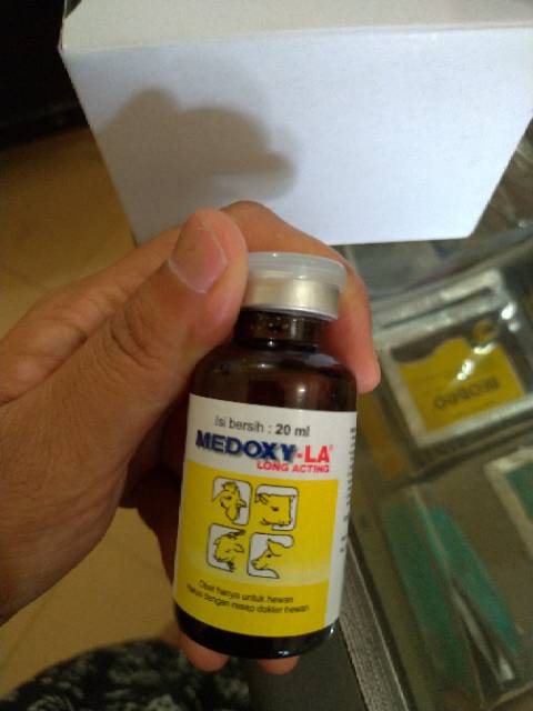 MEDOXY LA 20ml dan 100ml