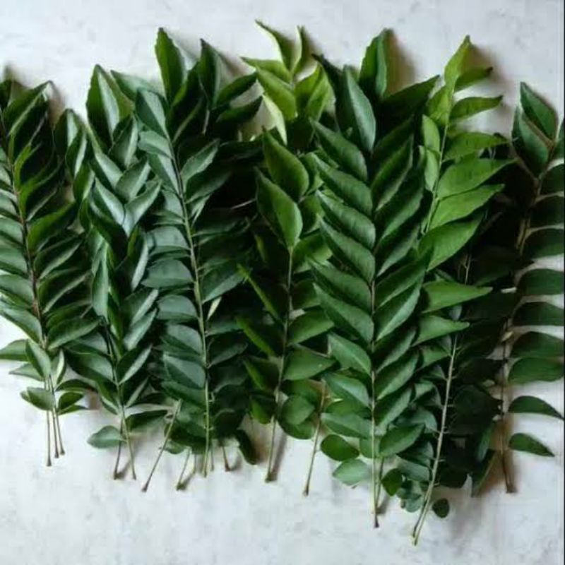 

daun salam koja / daun kari/ daun temurui 1 kg