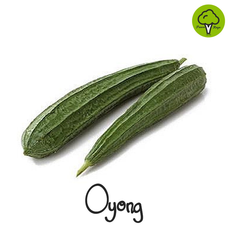 

SAYURAN / OYONG [500GR]