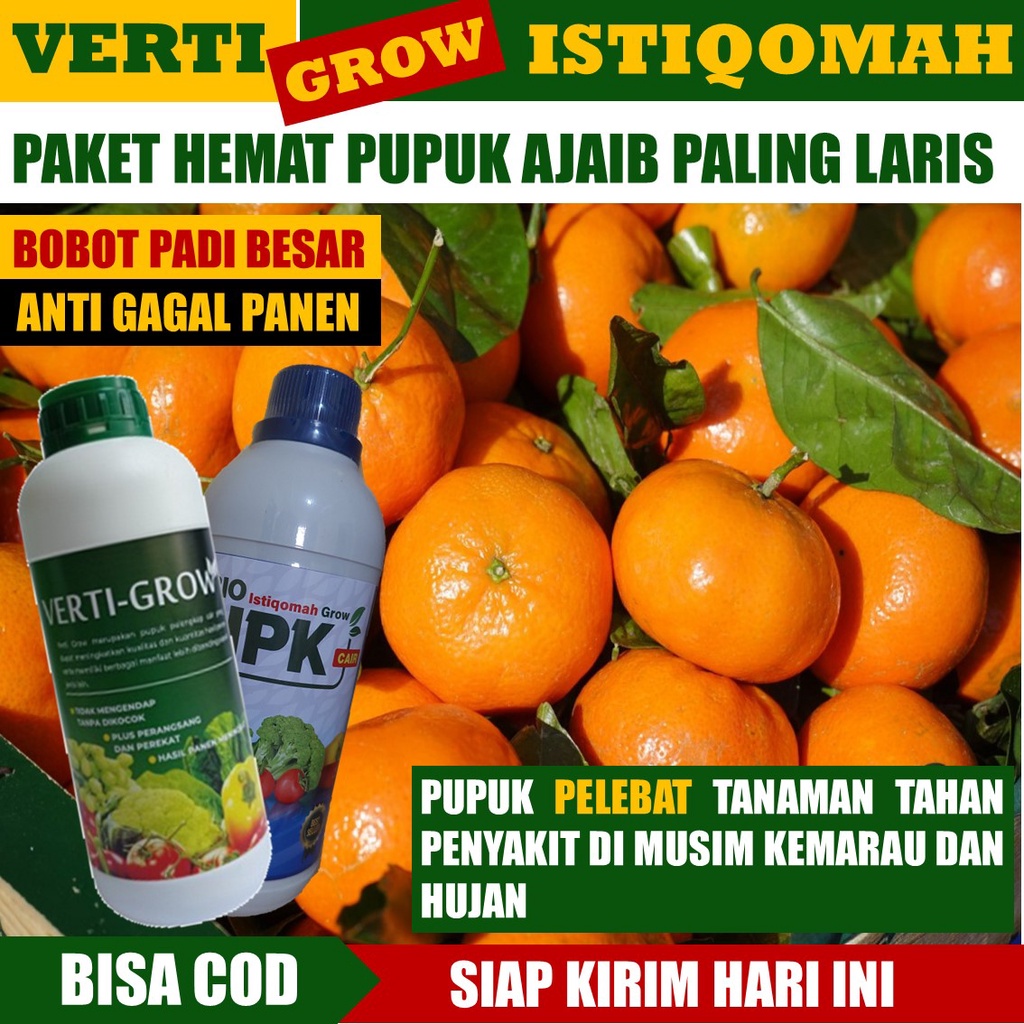 PAKET PUPUK Kalsium Tanaman 1 Verti-GROW & 1 ISTIQOMAH -Pupuk Merangsang Pertumbuhan Buah Jeruk Cepa