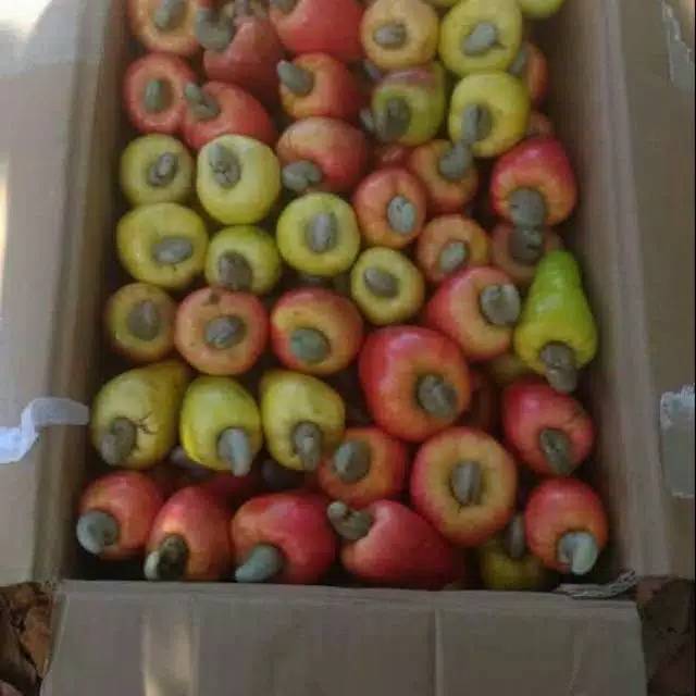 

Jambu Mede