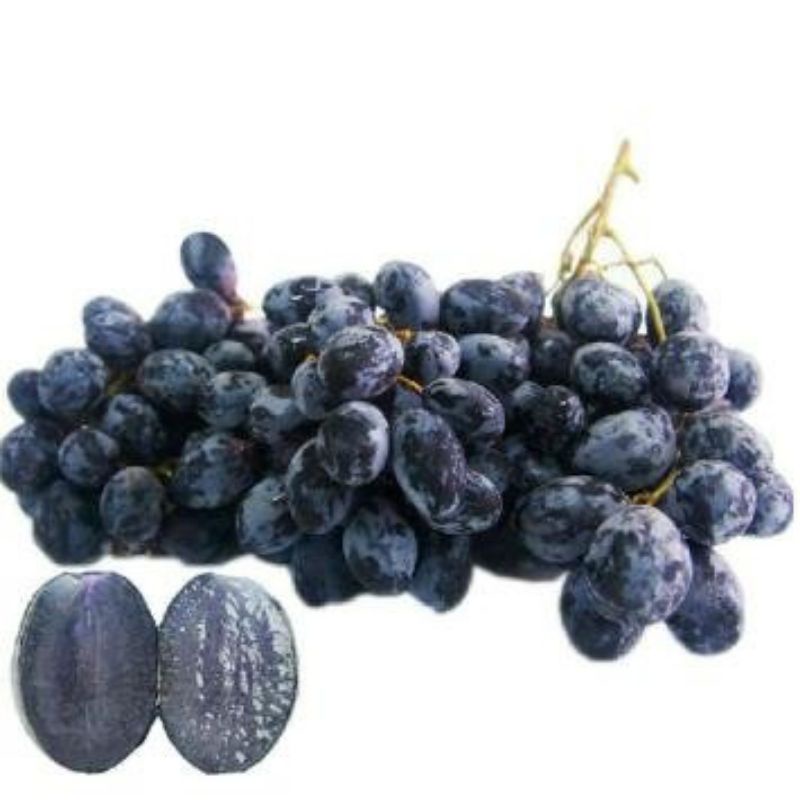 

Anggur Hitam Autumn Royal 1 box (+- 1 kg)
