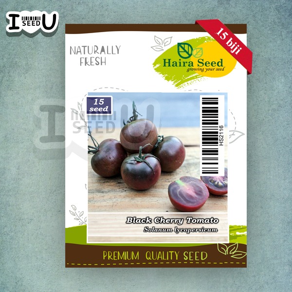 Haira Seed Bibit-Biji Tomat Black Cherry